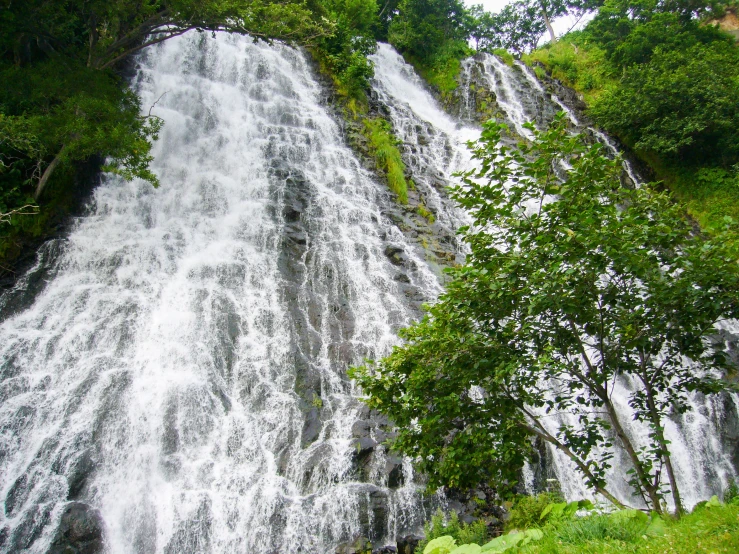 a very large waterfall in a jungle forest