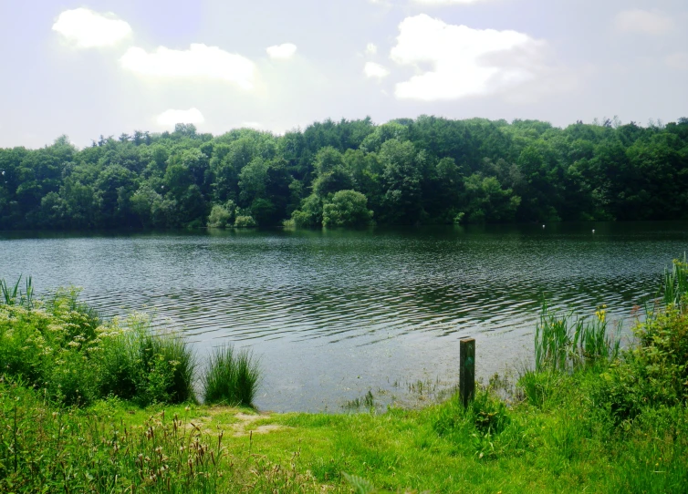 a beautiful pond surrounded by trees on a sunny day