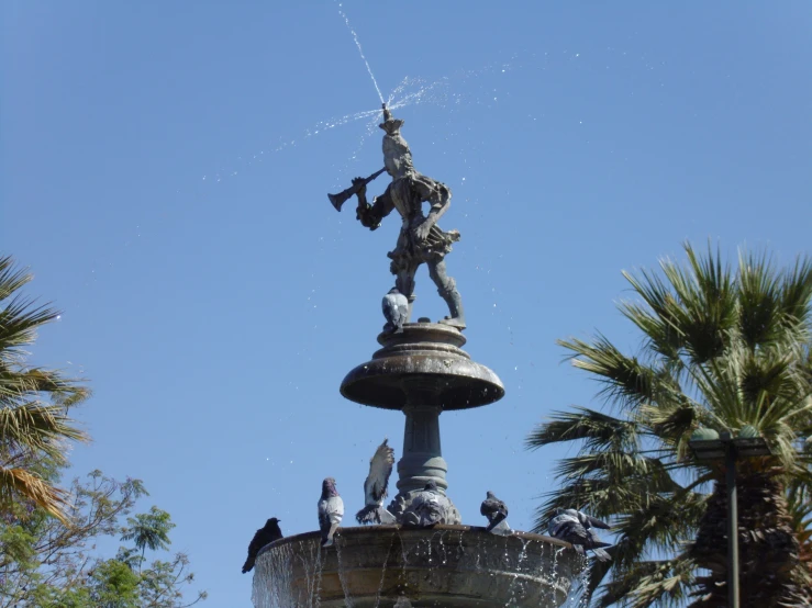 a fountain with several birds in it is surrounded by palm trees