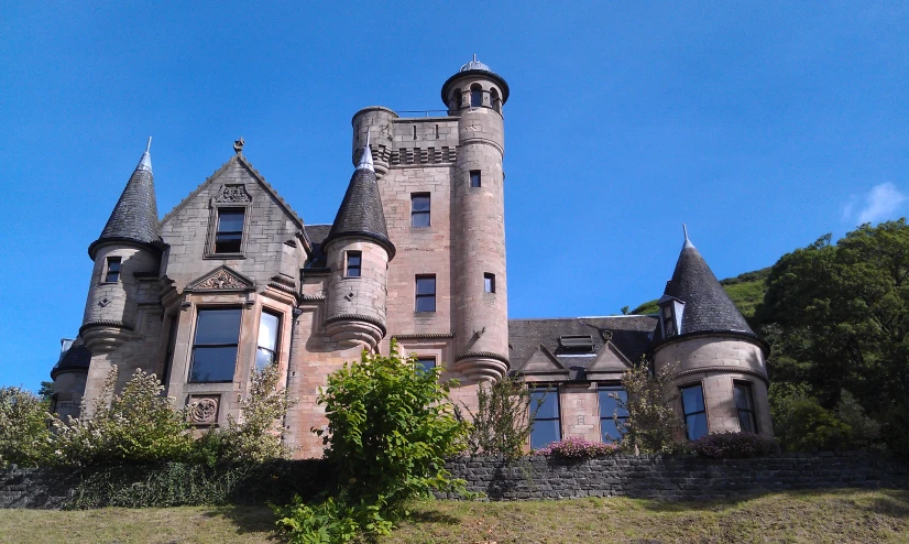 there are some plants growing out of the bushes next to this castle