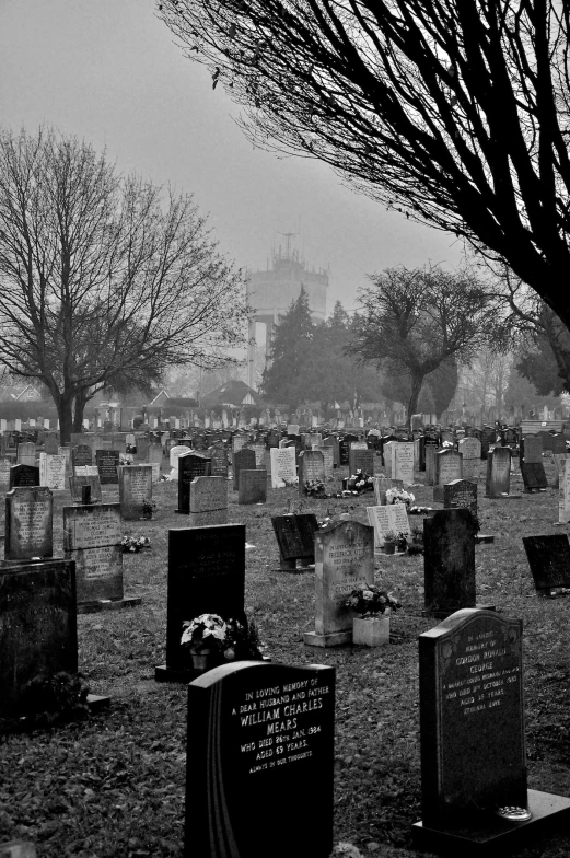 a black and white pograph of cemetery graveyard