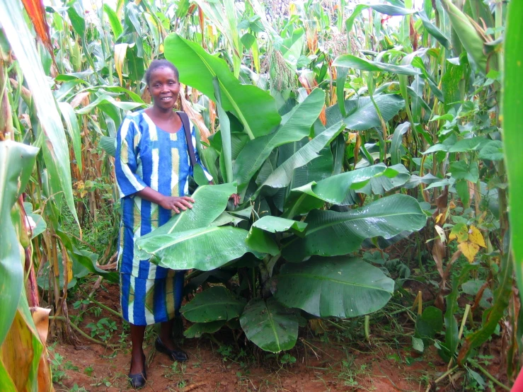 a woman in a blue and white striped dress standing next to plants