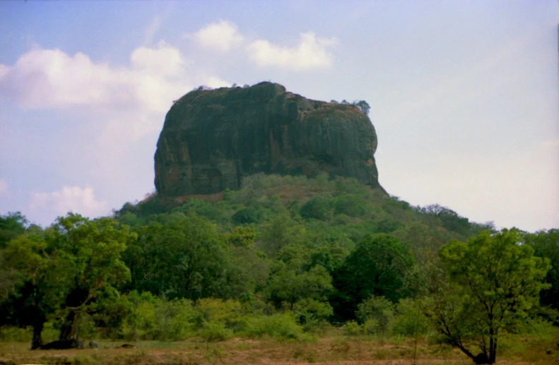 a mountain with trees and some animals by it