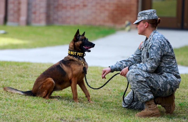 female military person kneeling down next to dog