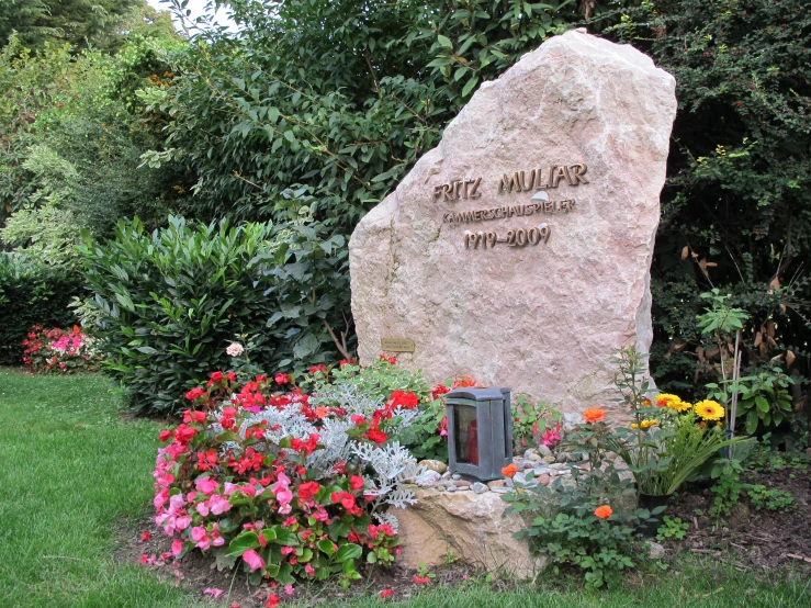 a garden area featuring plants and large rock