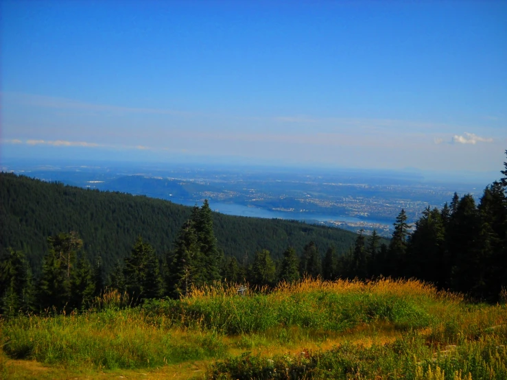 there is a beautiful view over the mountains and trees