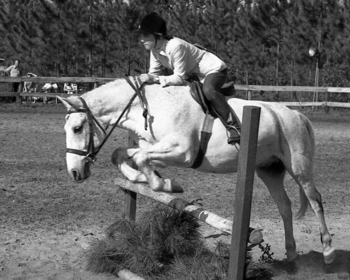 the girl rides on the horse jumps over the bar