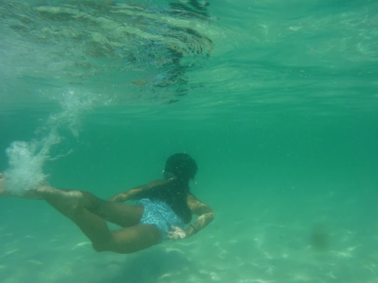 the woman is wearing blue shorts and is swimming under water
