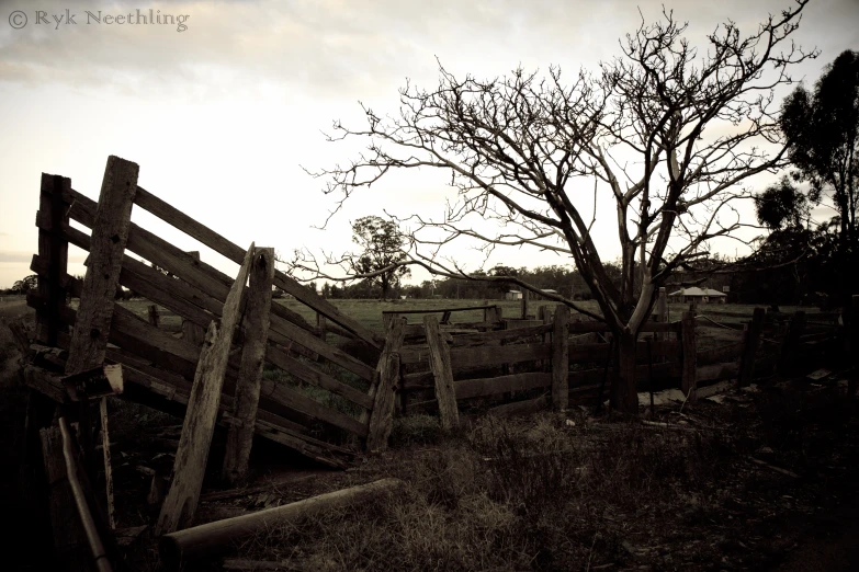 some very pretty wood fencing that are by a tree