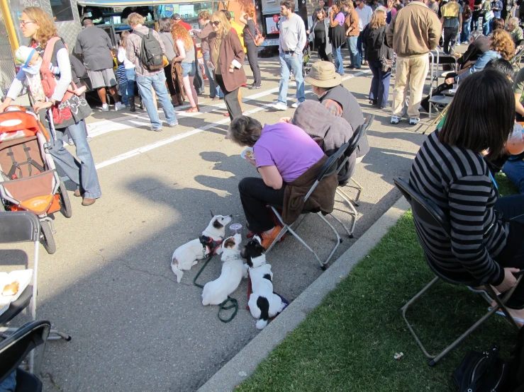 people are sitting in chairs outside watching two dogs get up to their necks