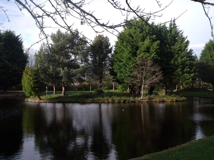 lake in a park surrounded by greenery with a bench on the other side