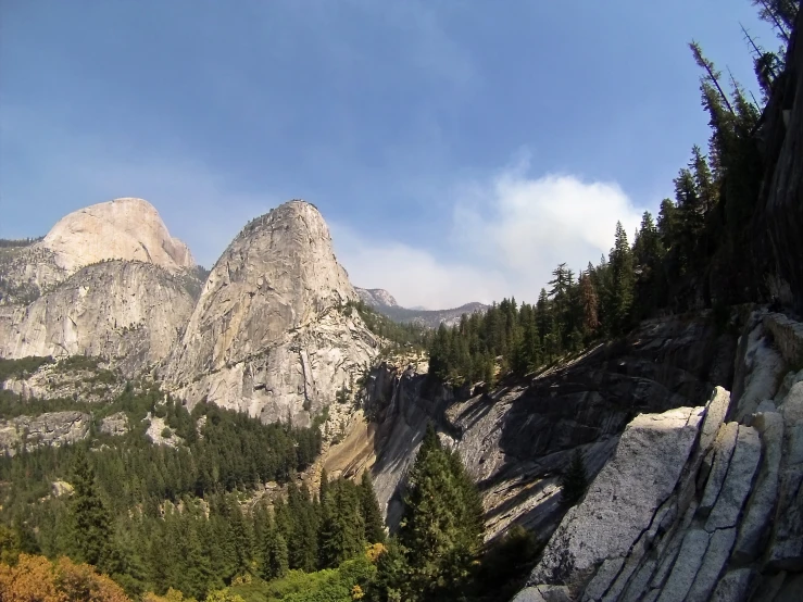 mountain scenery with trees and rocks in the foreground