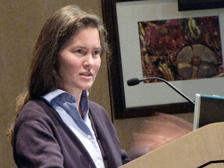 a woman sitting at a podium with a microphone