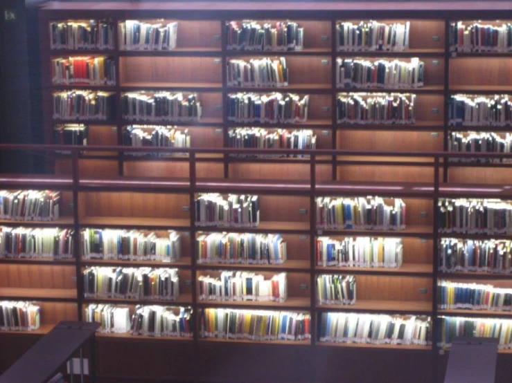 the shelves in the liry have many books