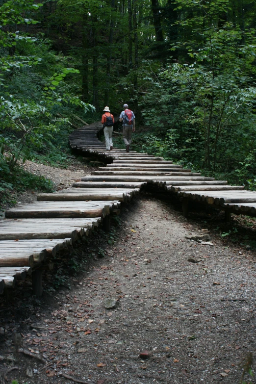 two people walking on some wooden steps in the woods