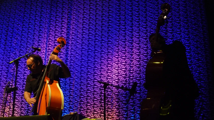 a woman playing a musical instrument in a show