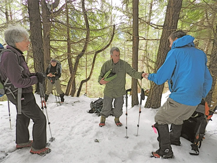 the people are skiing in the woods together