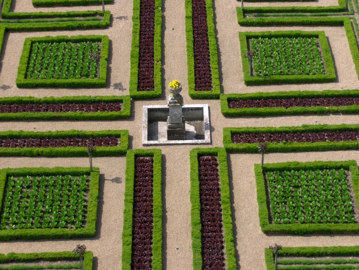 a square shaped garden filled with lots of green plants