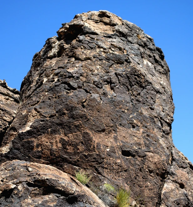 a tall rock with some little plants growing from it