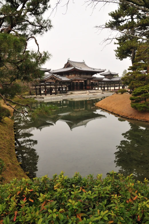 the asian style building is surrounded by pine trees