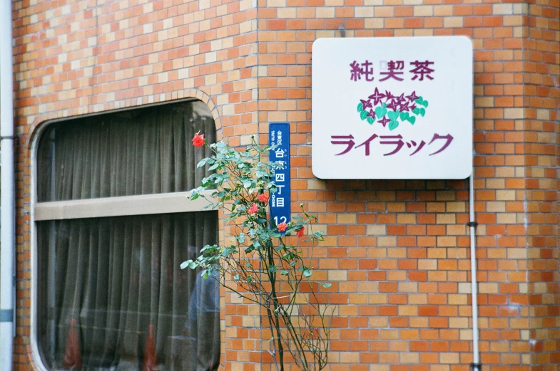 a red brick building with a red plant in front of it