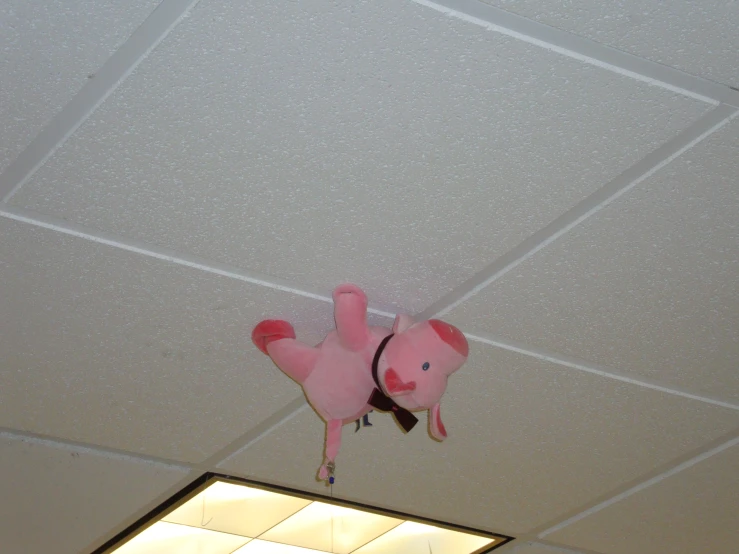 a pink pig toy hanging from the ceiling above a sign