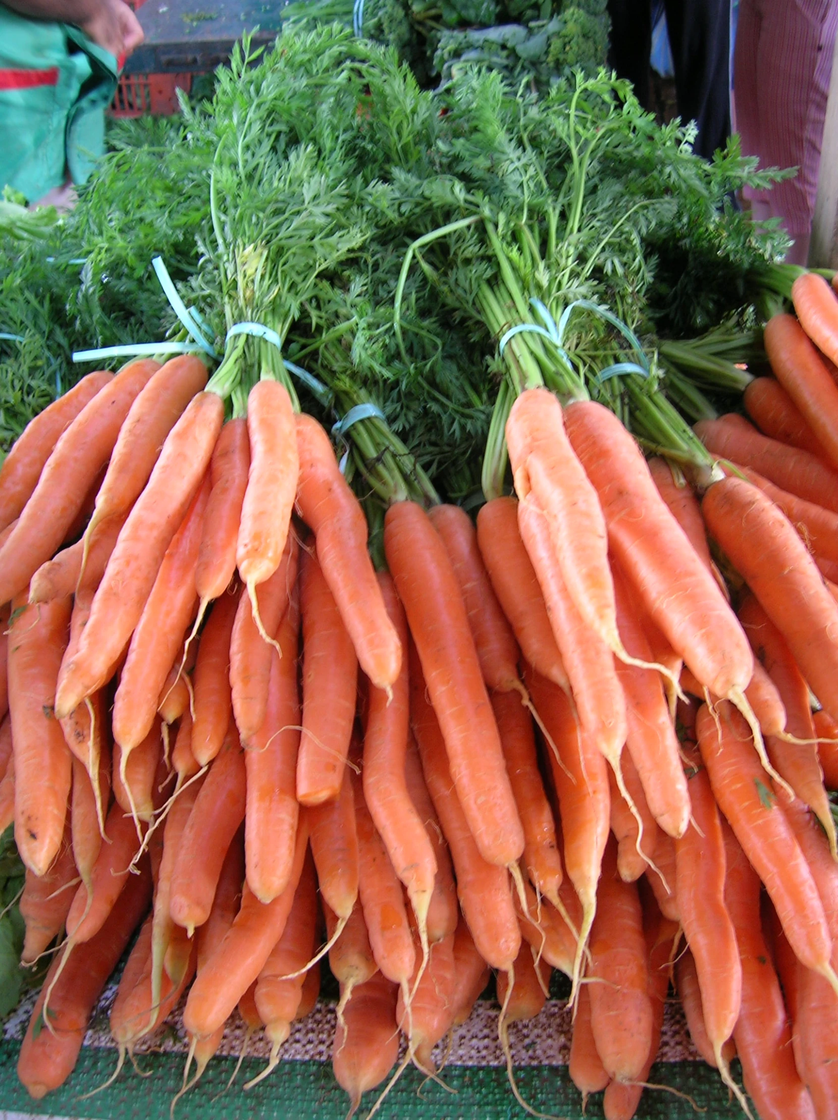 a pile of carrots and parsley on a table