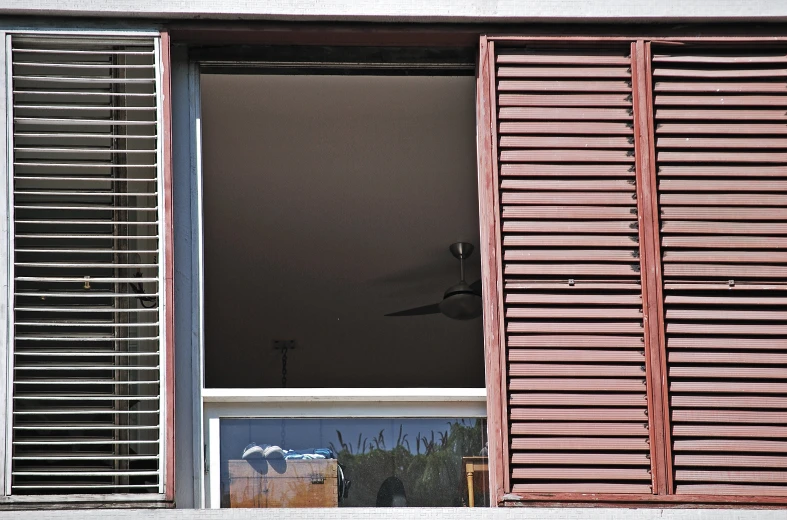 a black bird flying near some brown wooden shutters