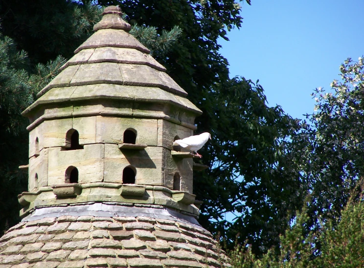 a bird is perched on the edge of a small tower