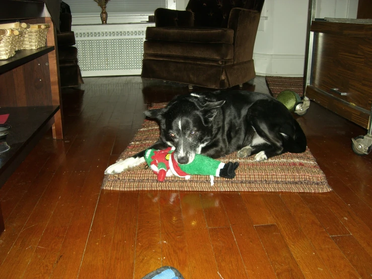 a black dog laying on a rug in front of a wooden floor