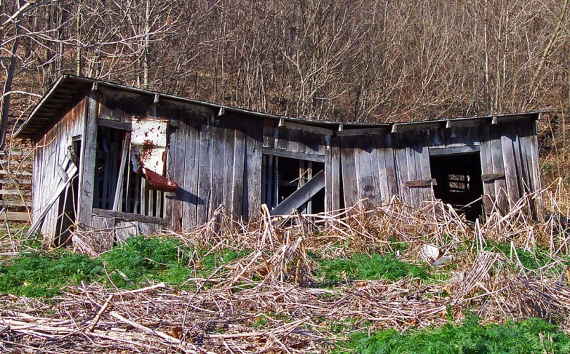 there are two dilapidated wooden buildings in the woods