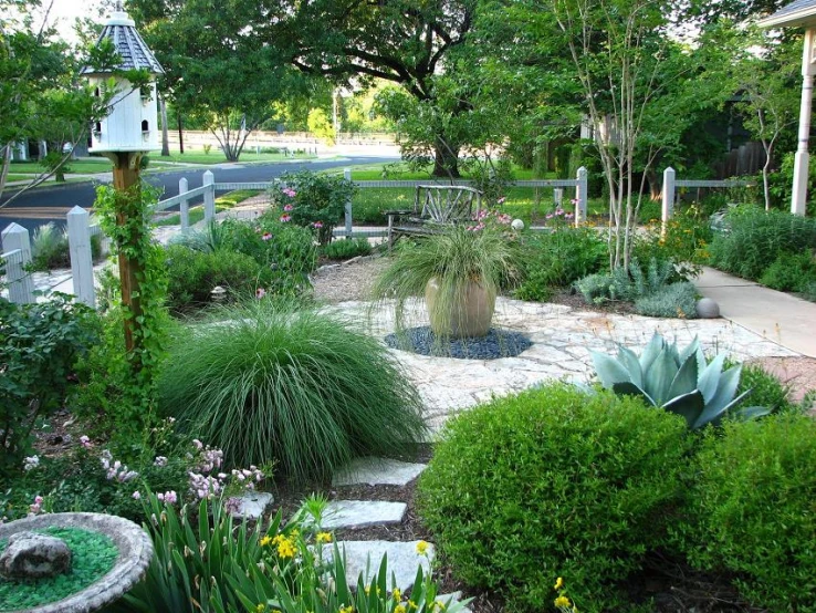 there is a beautiful garden that features various plants