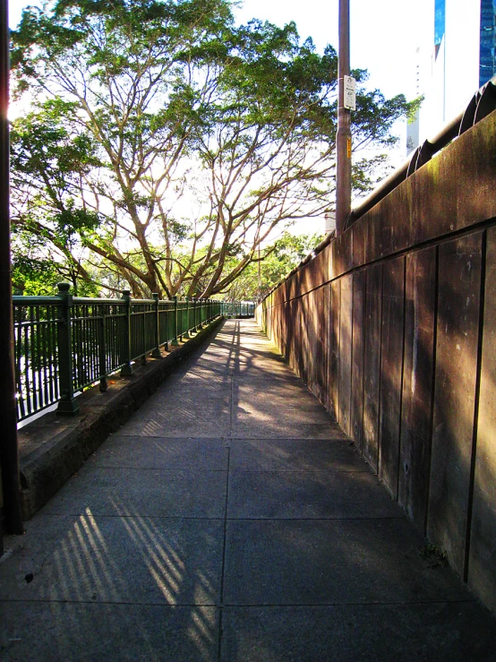 a street with tall buildings and trees surrounding