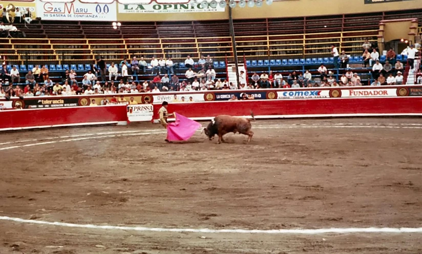 a person is trying to control an animal in a circus