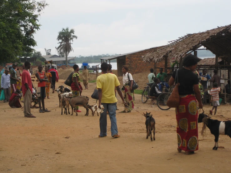 a man standing on dirt ground surrounded by cattle and people