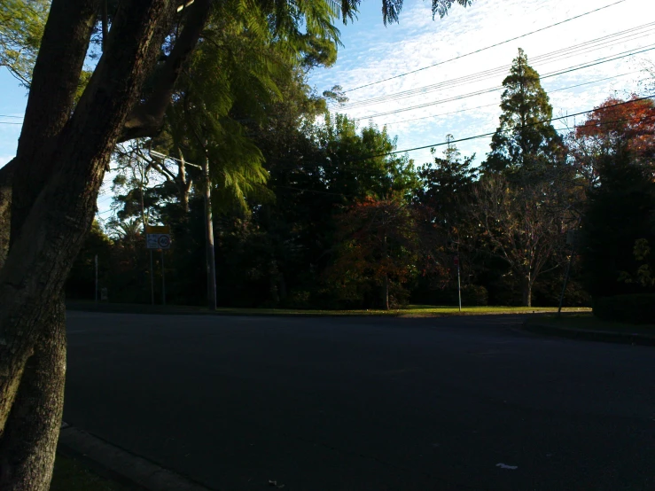 an empty street with a lone stop sign on the corner