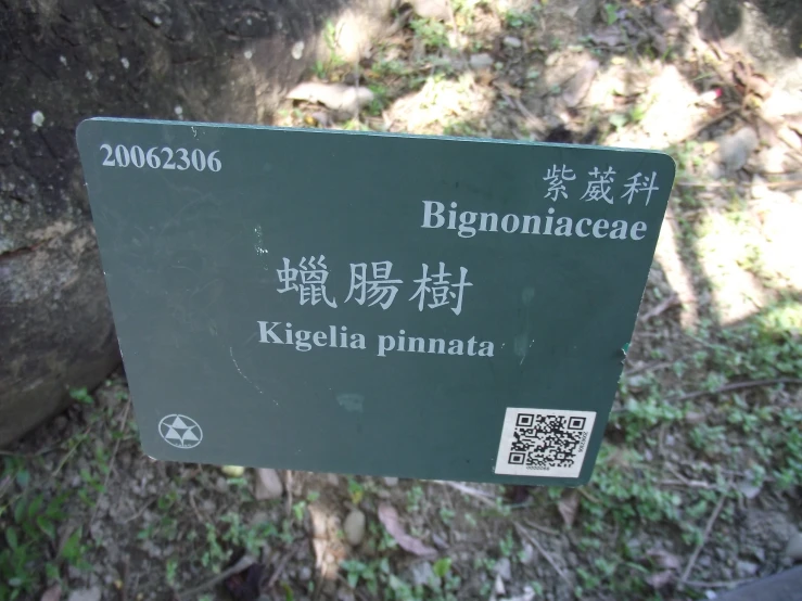 the sign is written in english and chinese