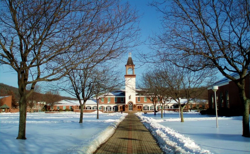 a building surrounded by a group of trees covered in snow