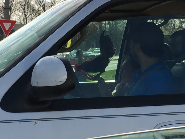 a woman in a car that has her hand out the window