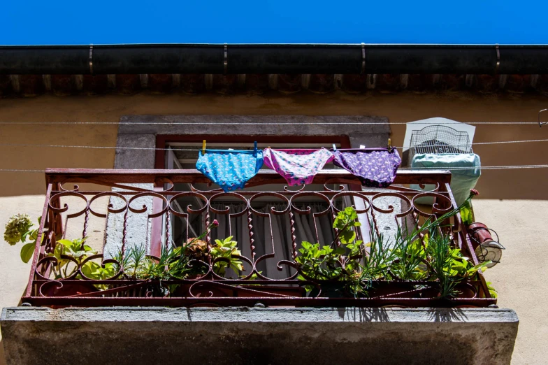 an iron balcony with flowers, plants and bunting on the rails