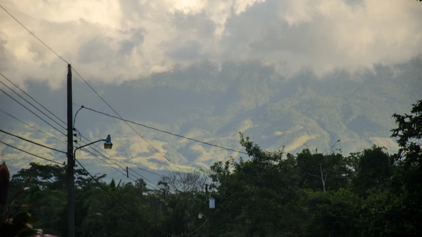 trees in the foreground with a very high mountain in the background