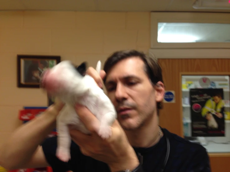 the man is holding the small white kitten