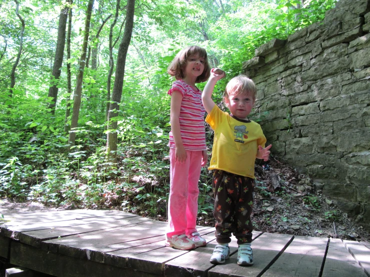 two little boys standing on a bridge by some woods