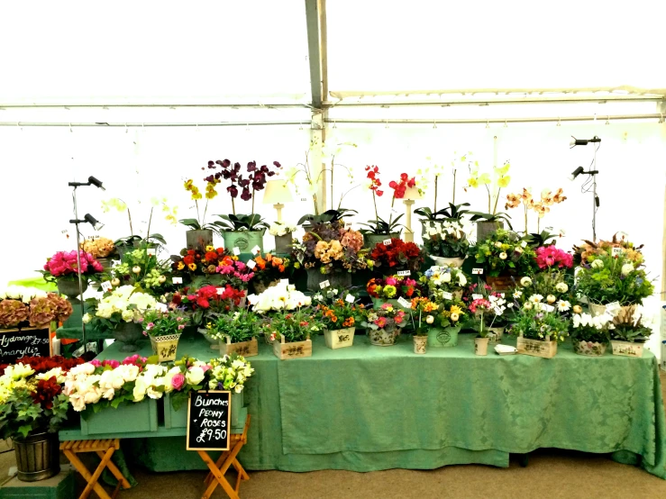 many flowers sitting on a table in the middle of a room