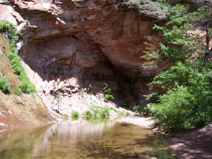 a river that has very water and trees on it