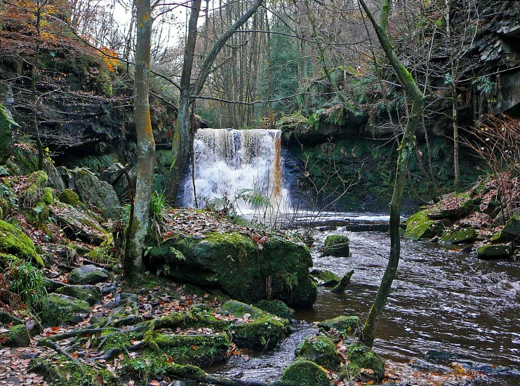 the back side of a small waterfall