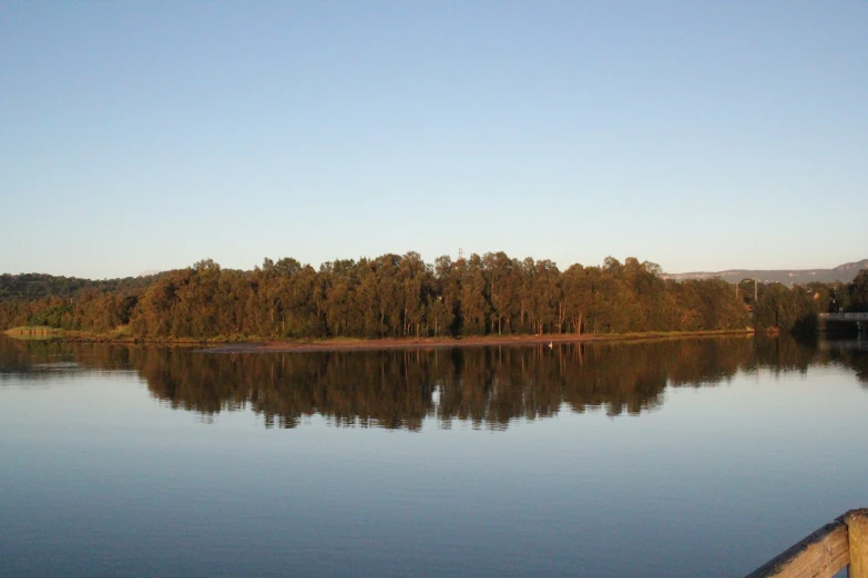 an area with large trees on one side and small island on the other