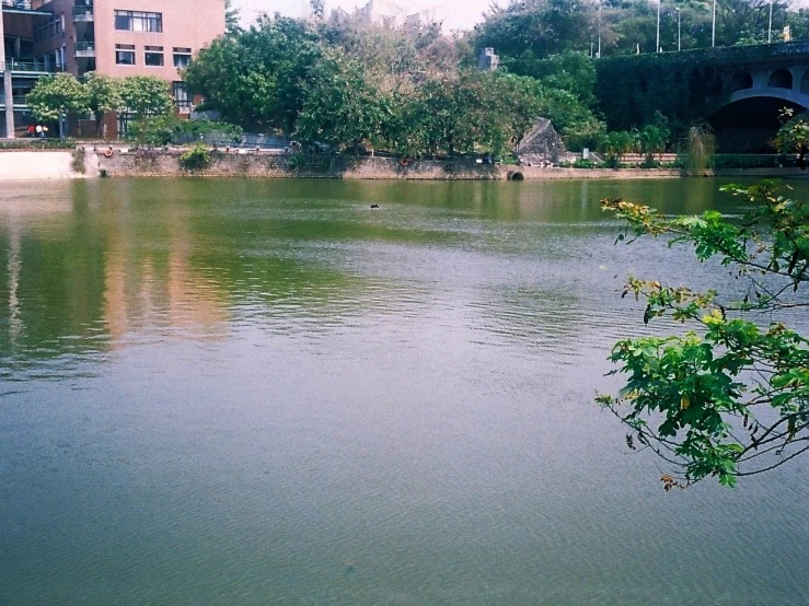 a small lake with buildings in the background