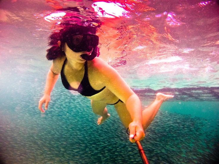 woman in bikini swimming through the water with a paddle