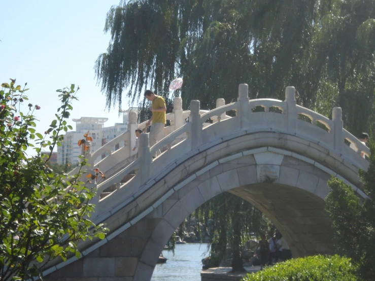 some people are walking on a bridge and some trees